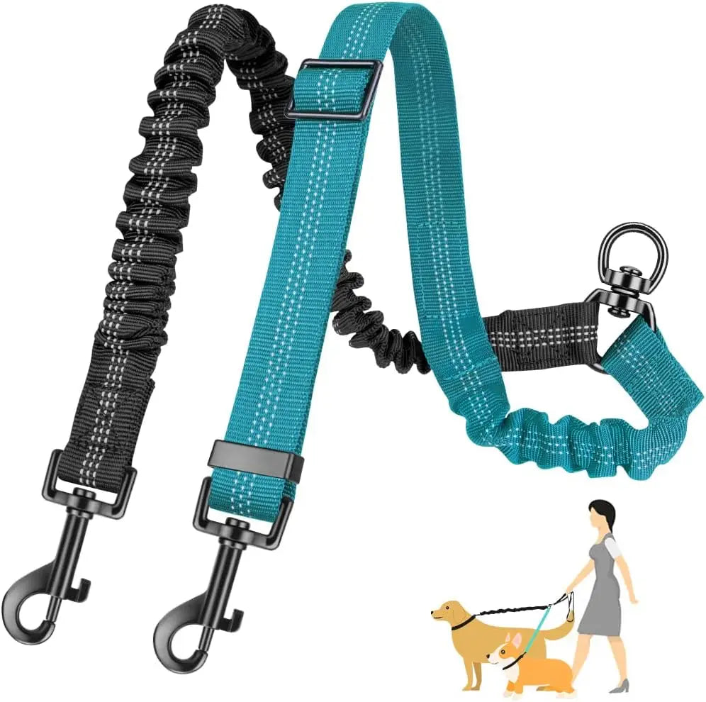 Double Dog Leash Attachment for Training