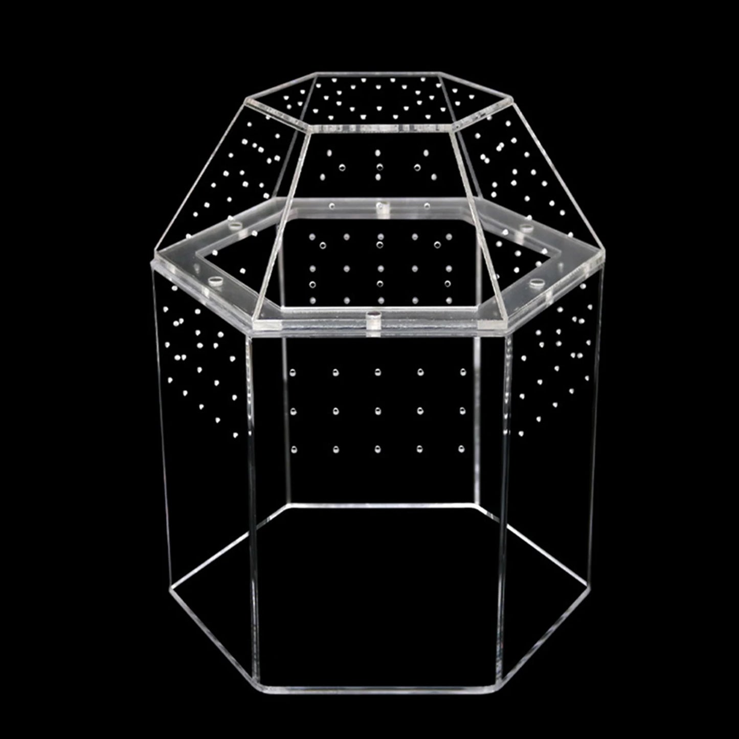 Jumping Spider Enclosure Terrarium With All Sides Ventilation