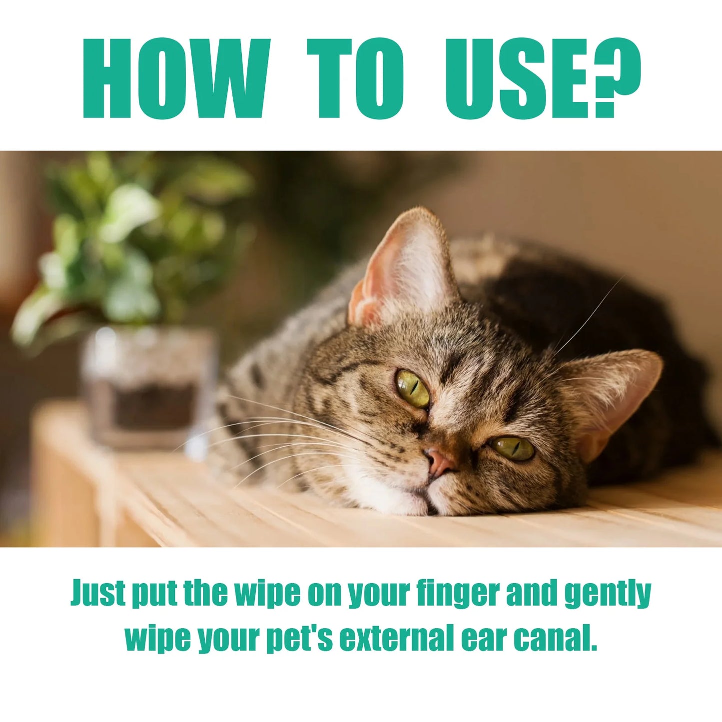 YEGBONG Pet Finger Wipes Multipurpose For Ear Mite Eyes Paws
