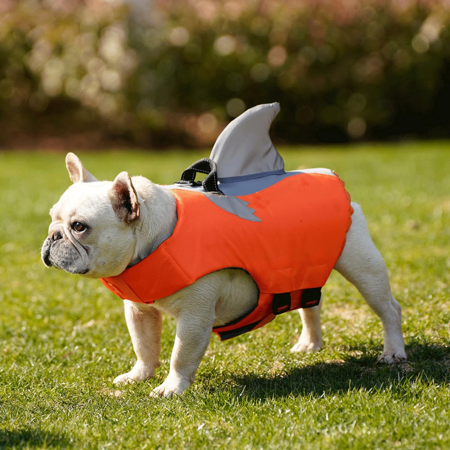 WANGUPET Reflective Dog Life Jacket With Rescue Handle