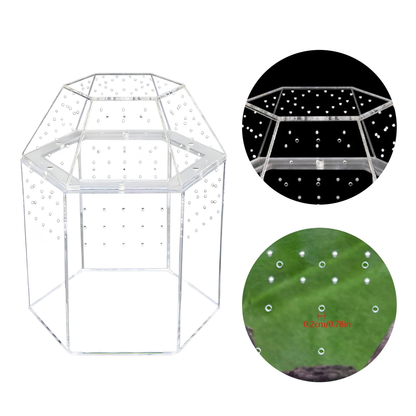 Jumping Spider Enclosure Terrarium With All Sides Ventilation