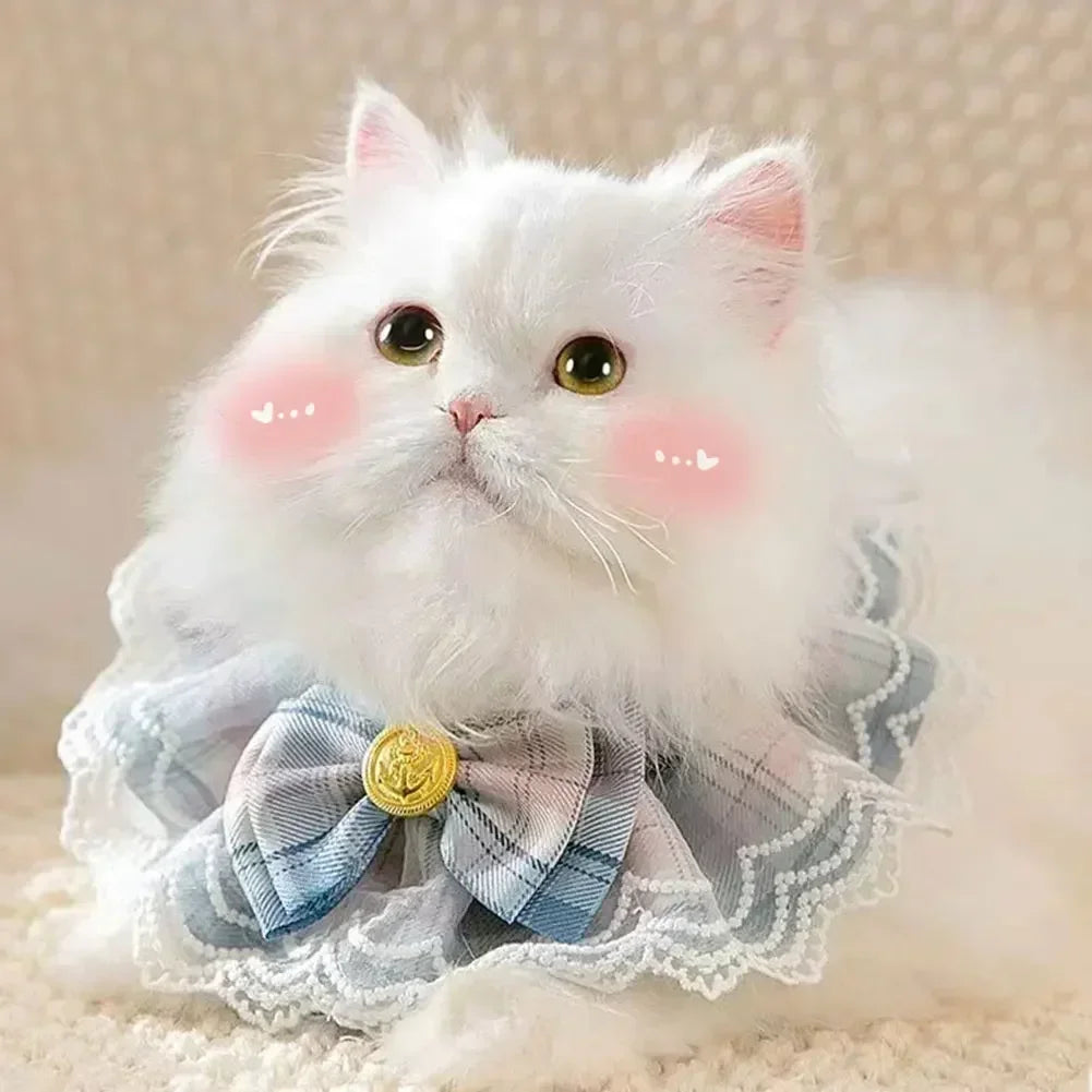 Cute Lace Edged Cat and Dog Collar with Bow Tie