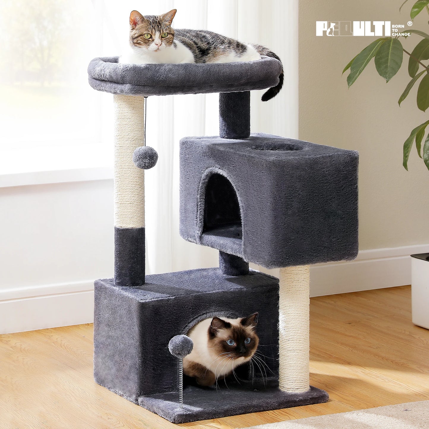 PAWZ Road Multi Level Cat Tree Indoor Cat Tower With Condos