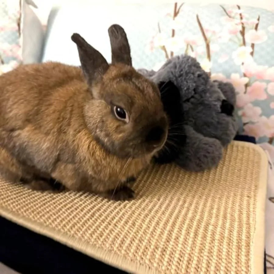 Sisal Bunny Scratch Pad For Rabbits Natural Grass Mat
