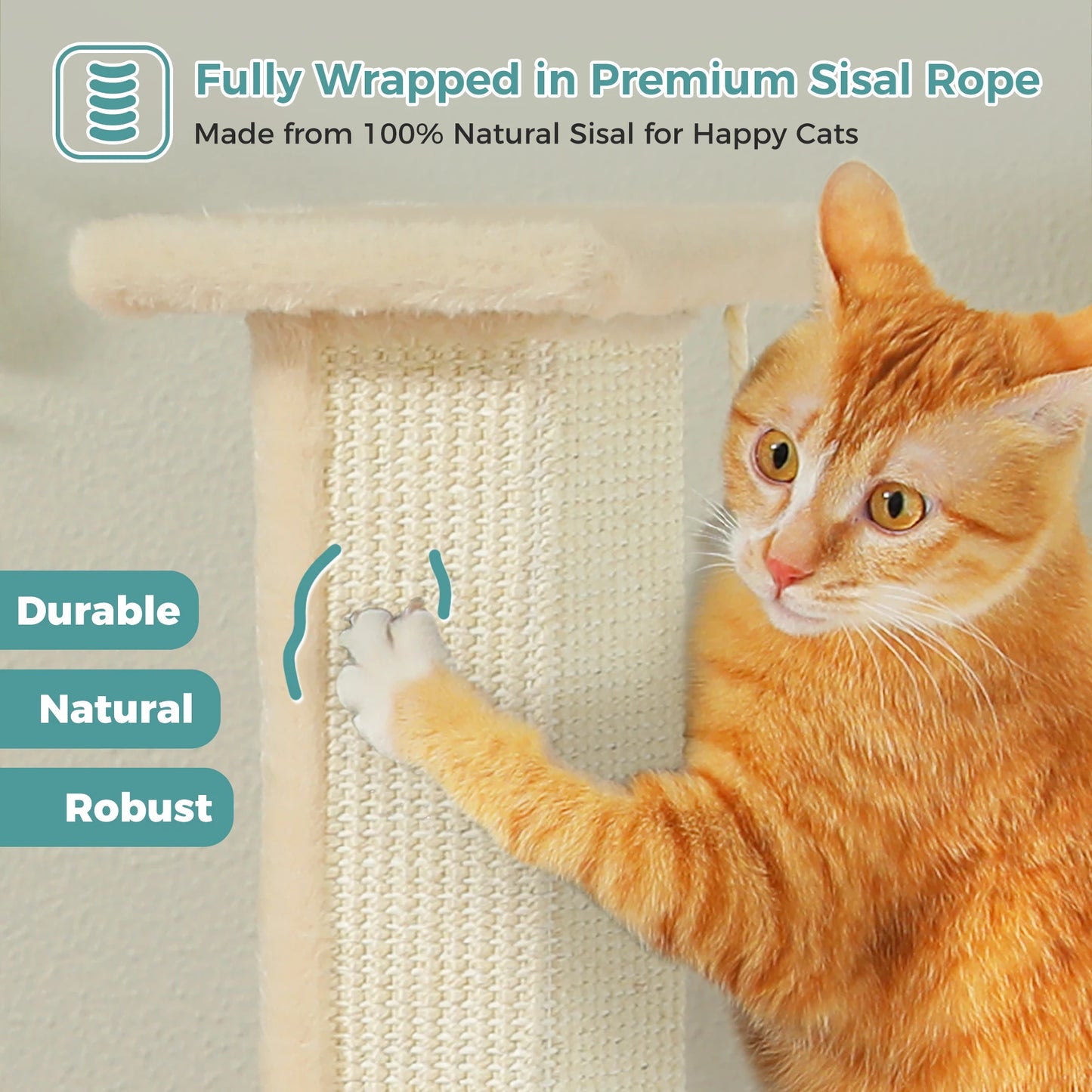PAWZ Road Cat Scratching Post Indoor Ultimate Scratch Toy