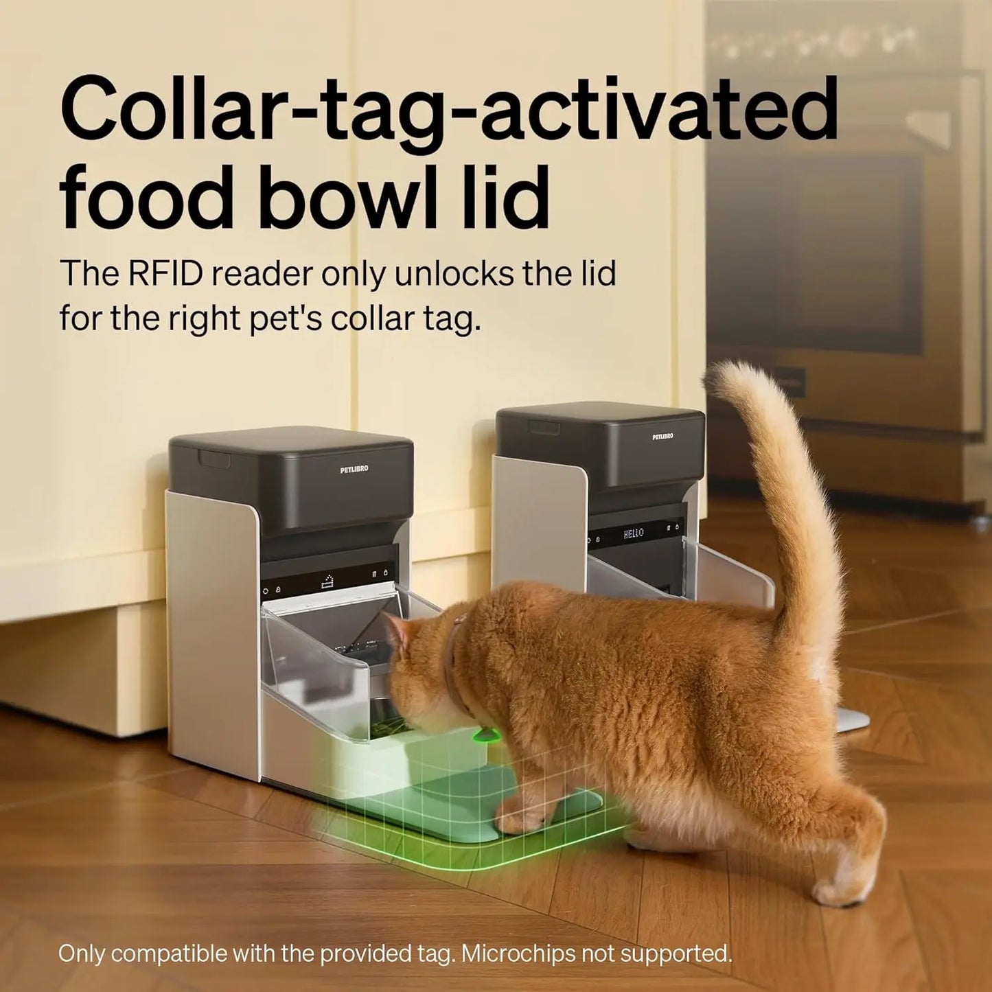 RFID Cat Feeder With Personalized Meals And Anti Theft Lid