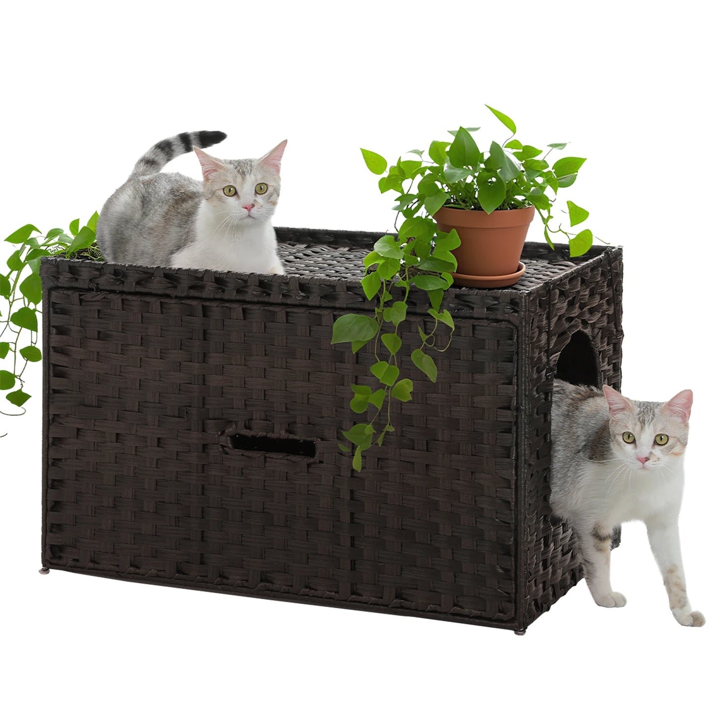 PAWZ Road Handwoven Rattan Cat Litter Box Enclosure With Door