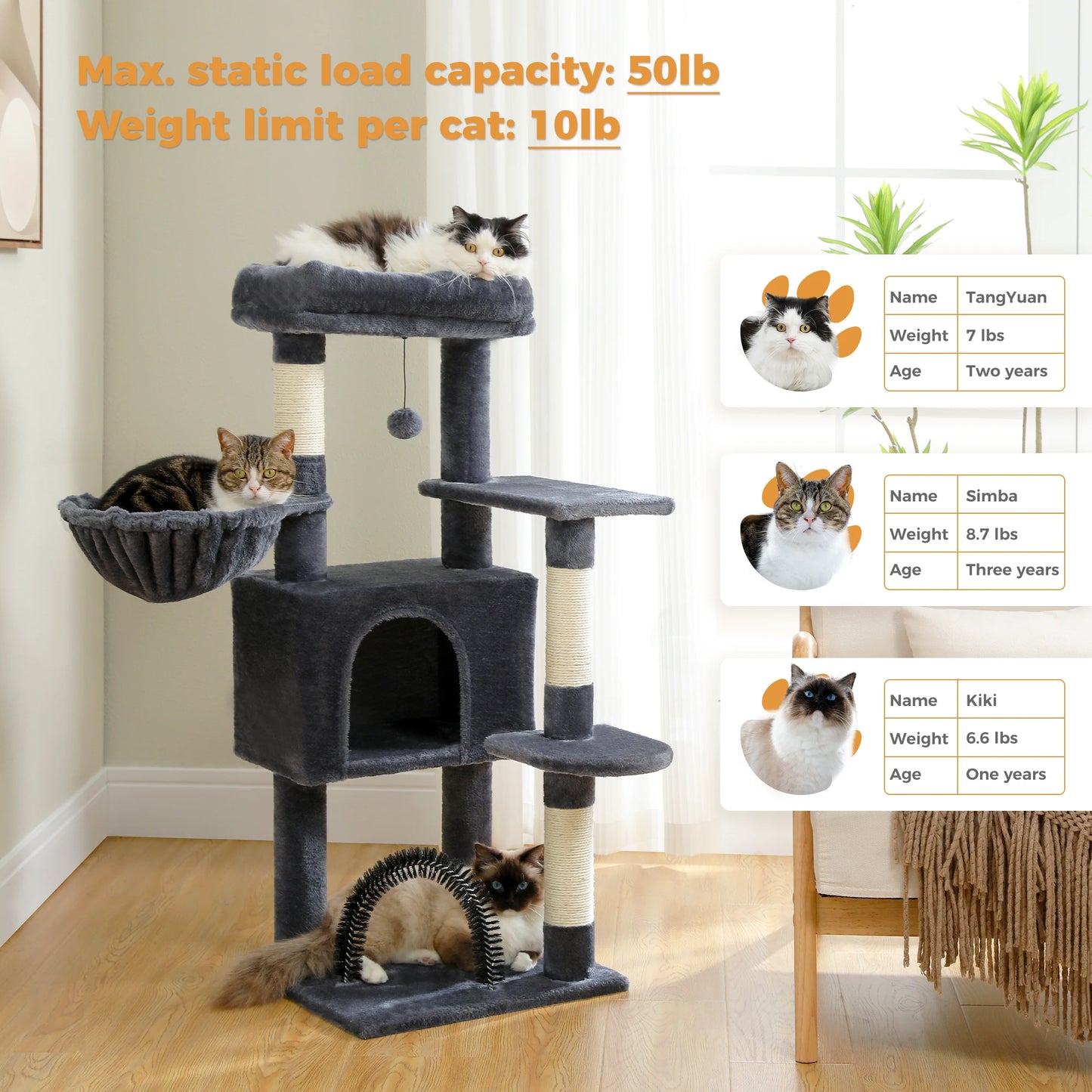 PAWZ Road Cat Tree With Toy Perch And Scratching Posts
