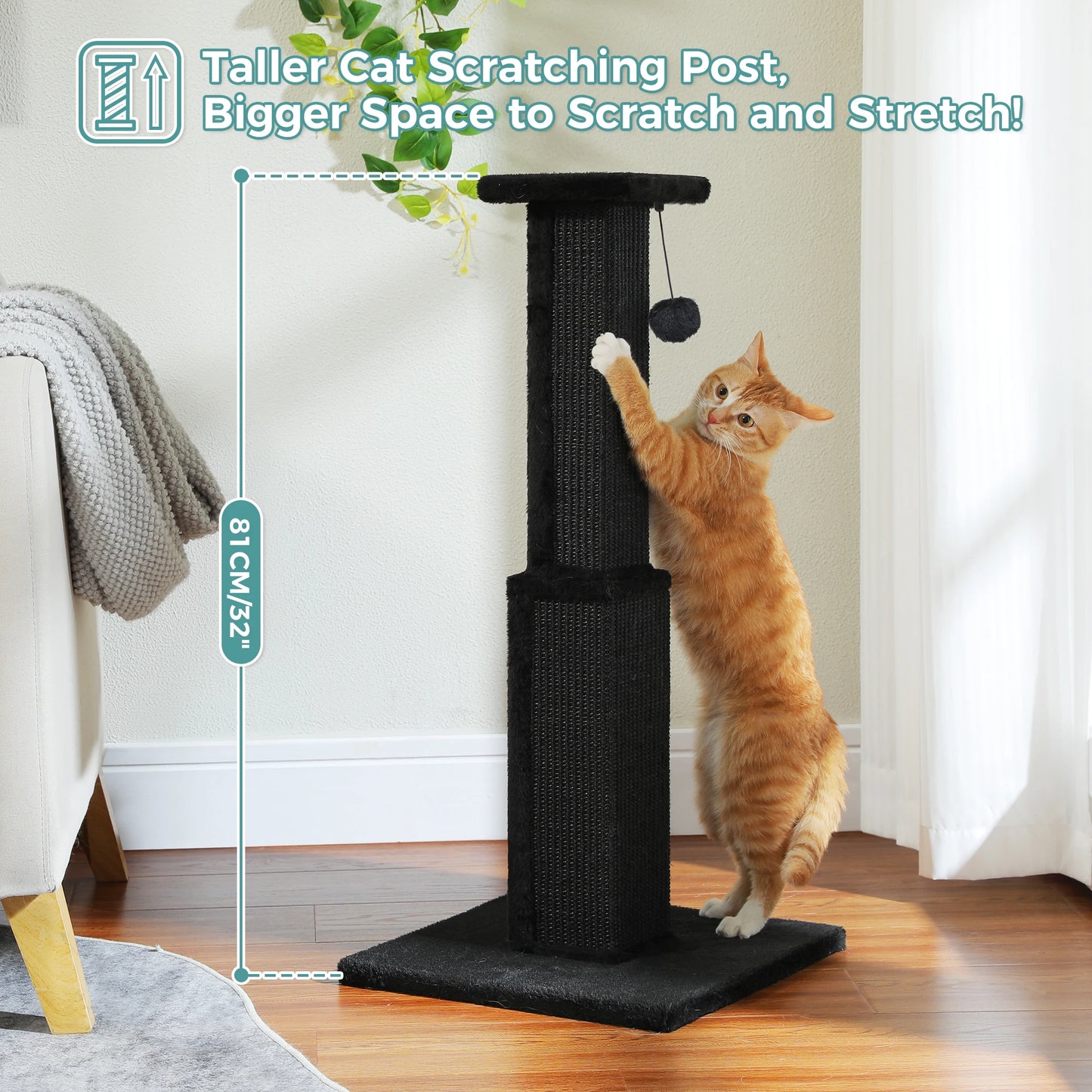 PAWZ Road Cat Scratching Post Indoor Ultimate Scratch Toy