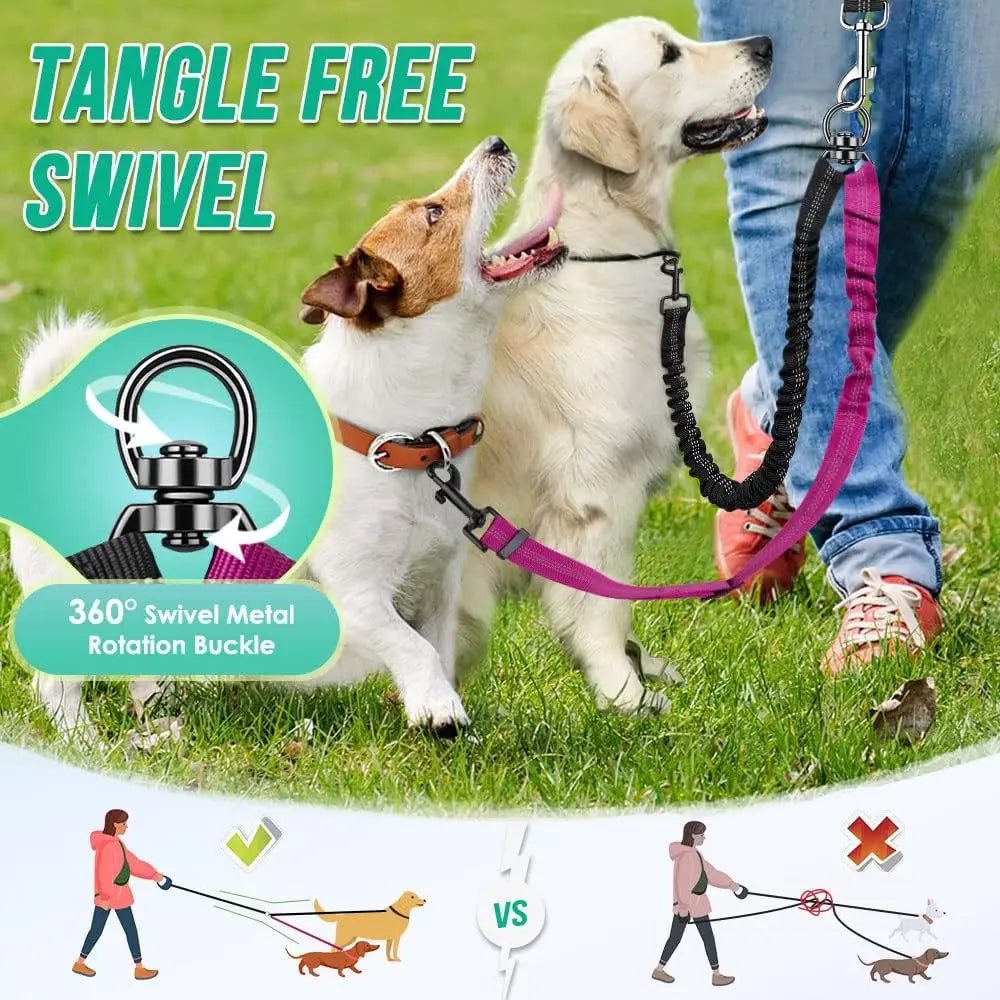 Double Dog Leash Attachment for Training