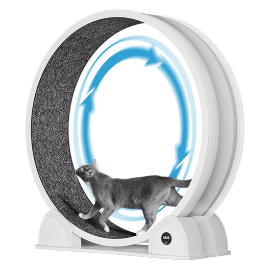 HiMISSCN Cat Exercise Wheel For Indoor Cats And Small Pets