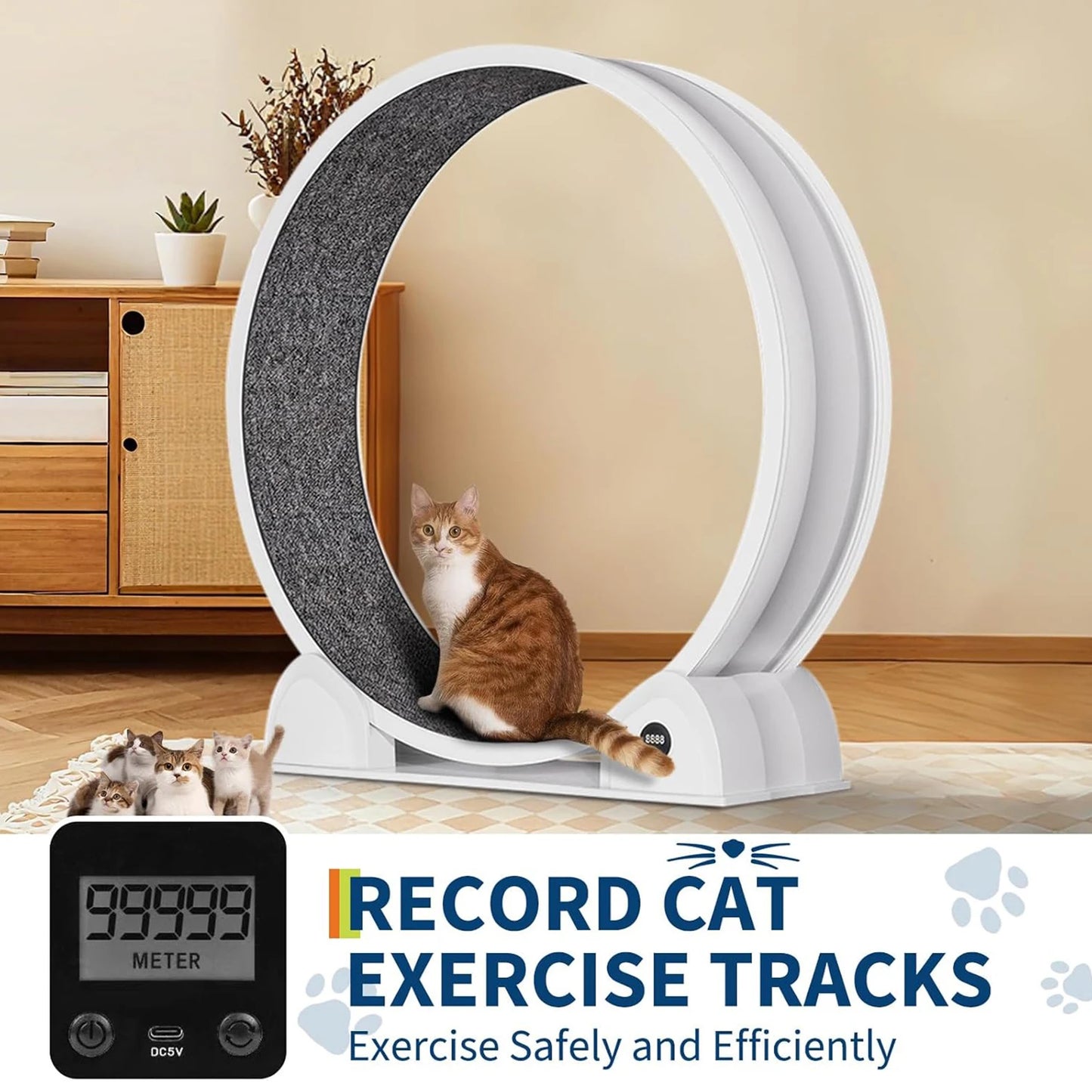 HiMISSCN Cat Exercise Wheel For Indoor Cats And Small Pets