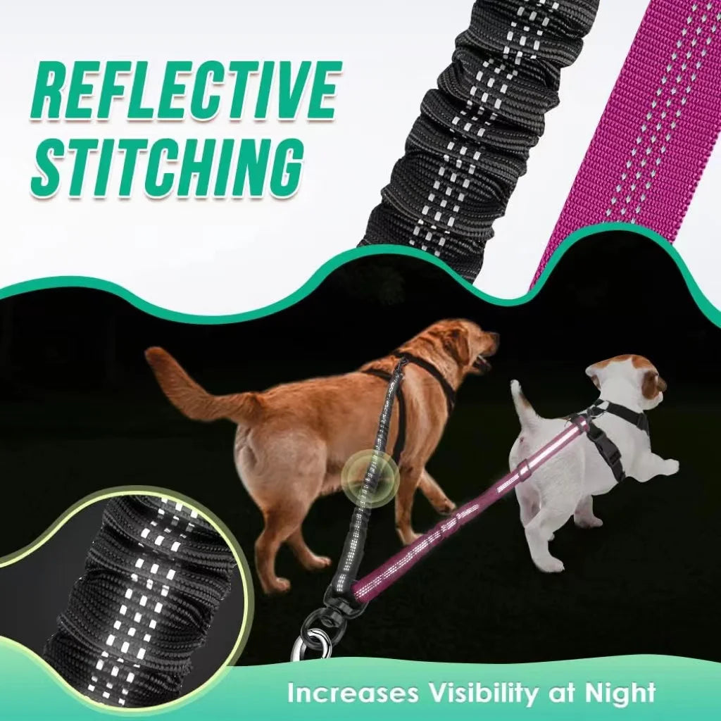 Double Dog Leash Attachment for Training