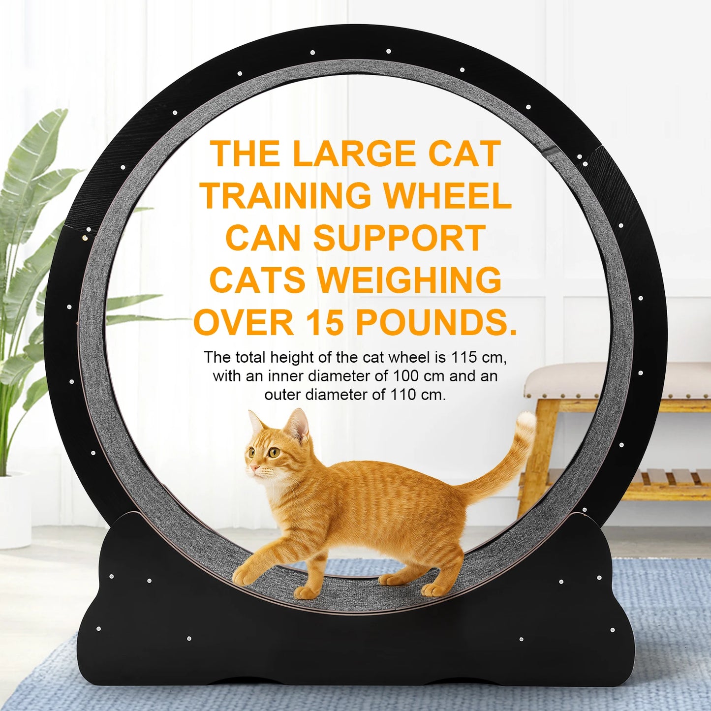 Cats Exercise Running Wheel Indoor Cat Treadmill For Fun Exercise