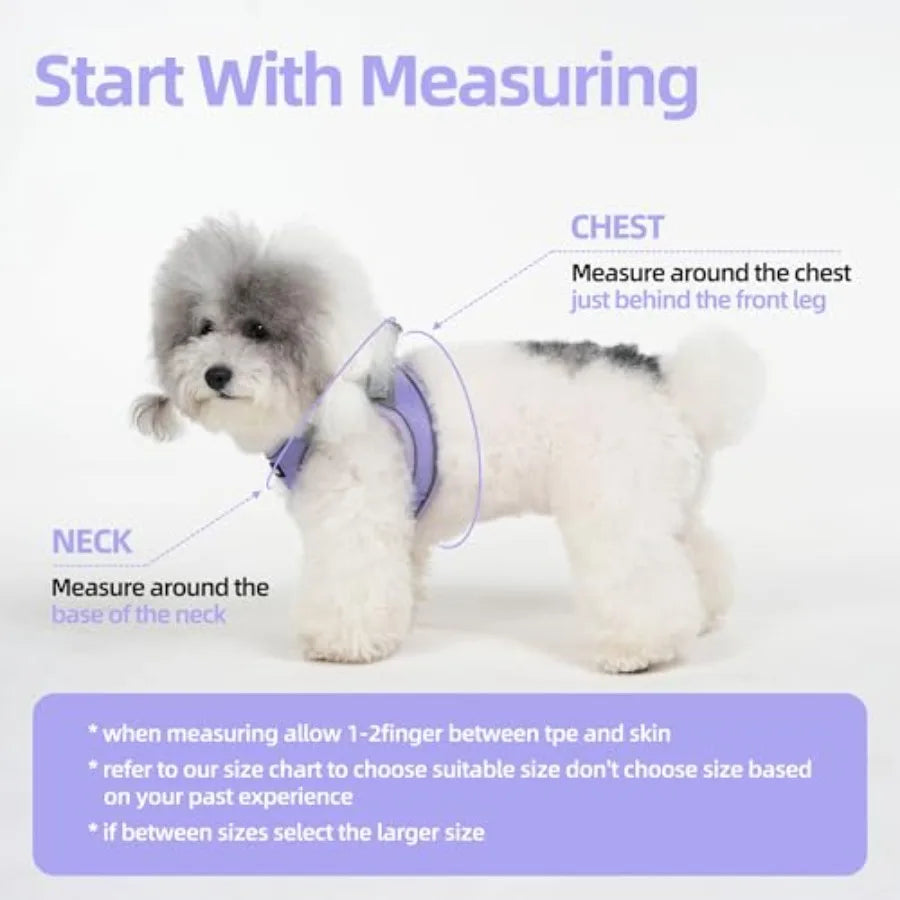 Sparkly Dog Harness And Leash Set Reflective Puppy Vest