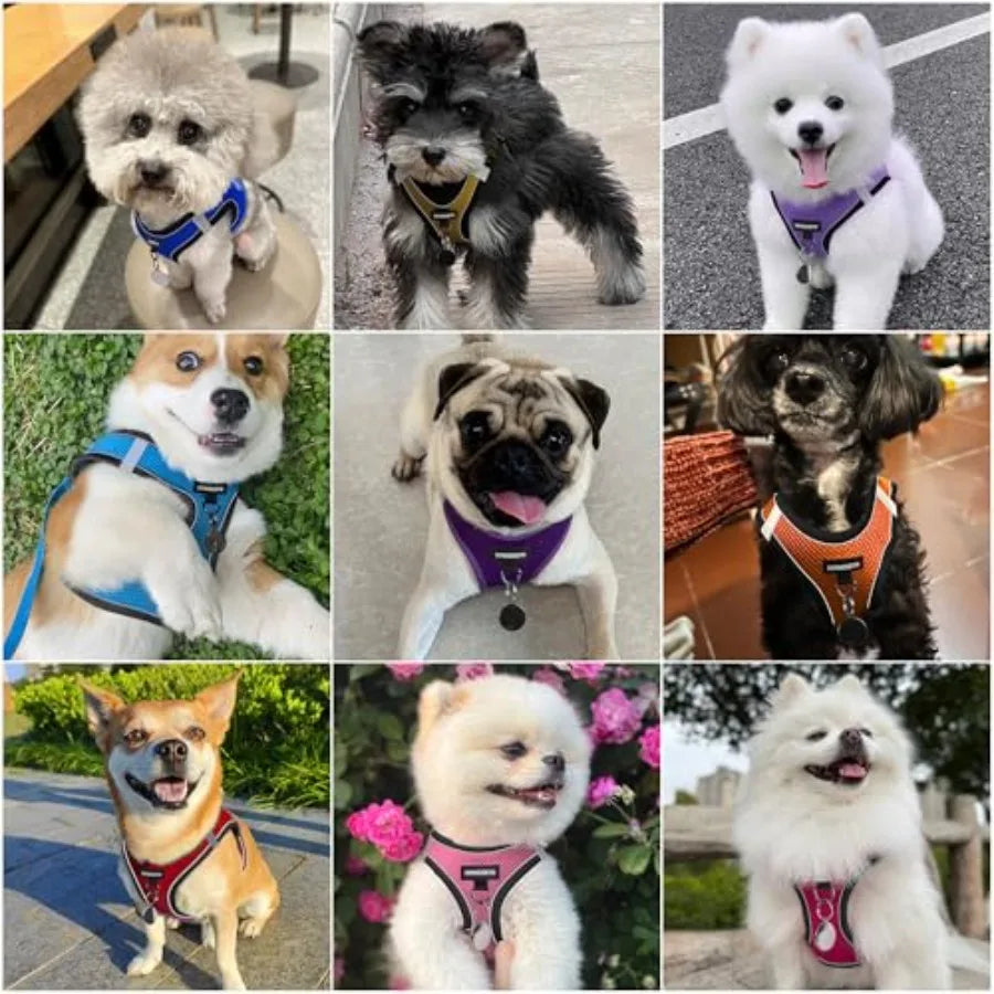 No-Pull Dog Harness And Leash Set Step-In Reflective Easy Walk