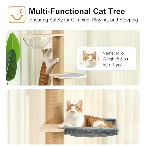 Modern Floor To Ceiling Cat Tower With Six Adjustable Tiers