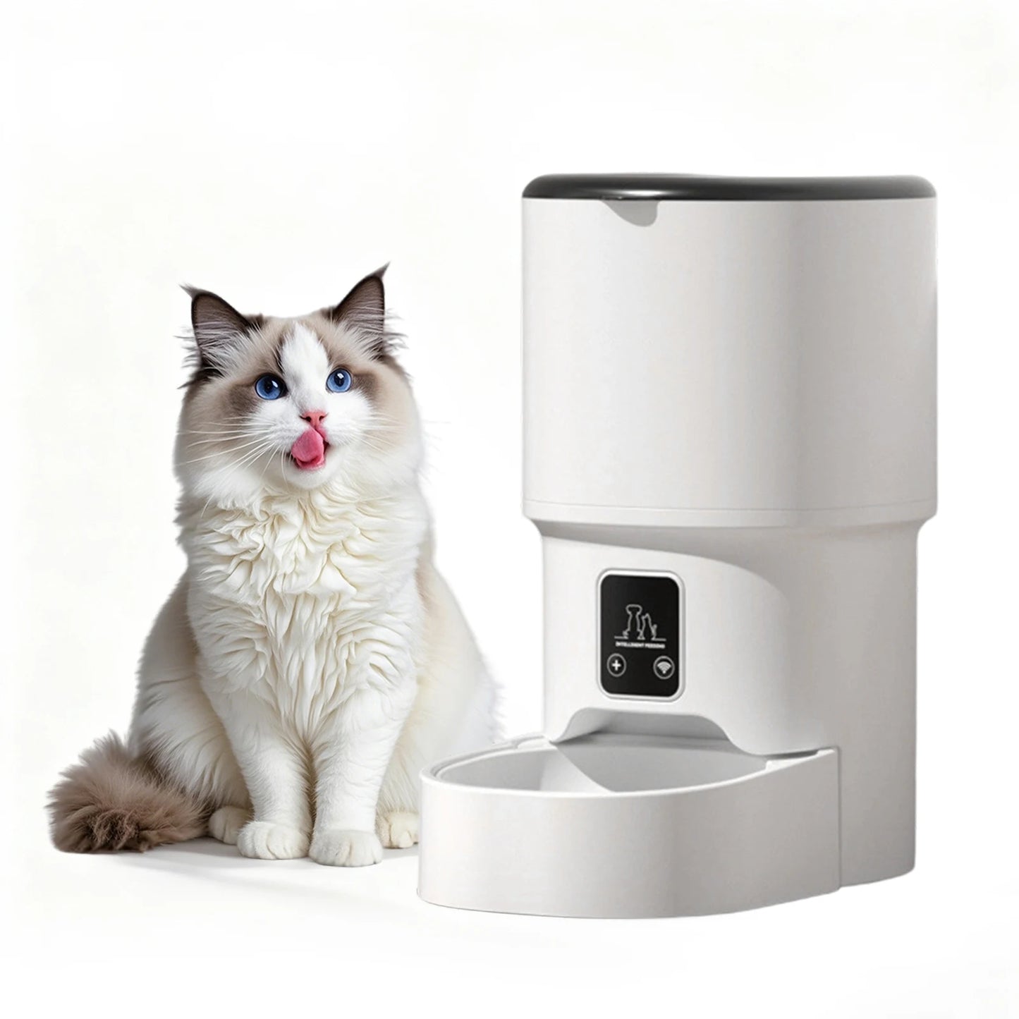 HiMISS Programmable 4L Pet Feeder For Small Dogs And Cats