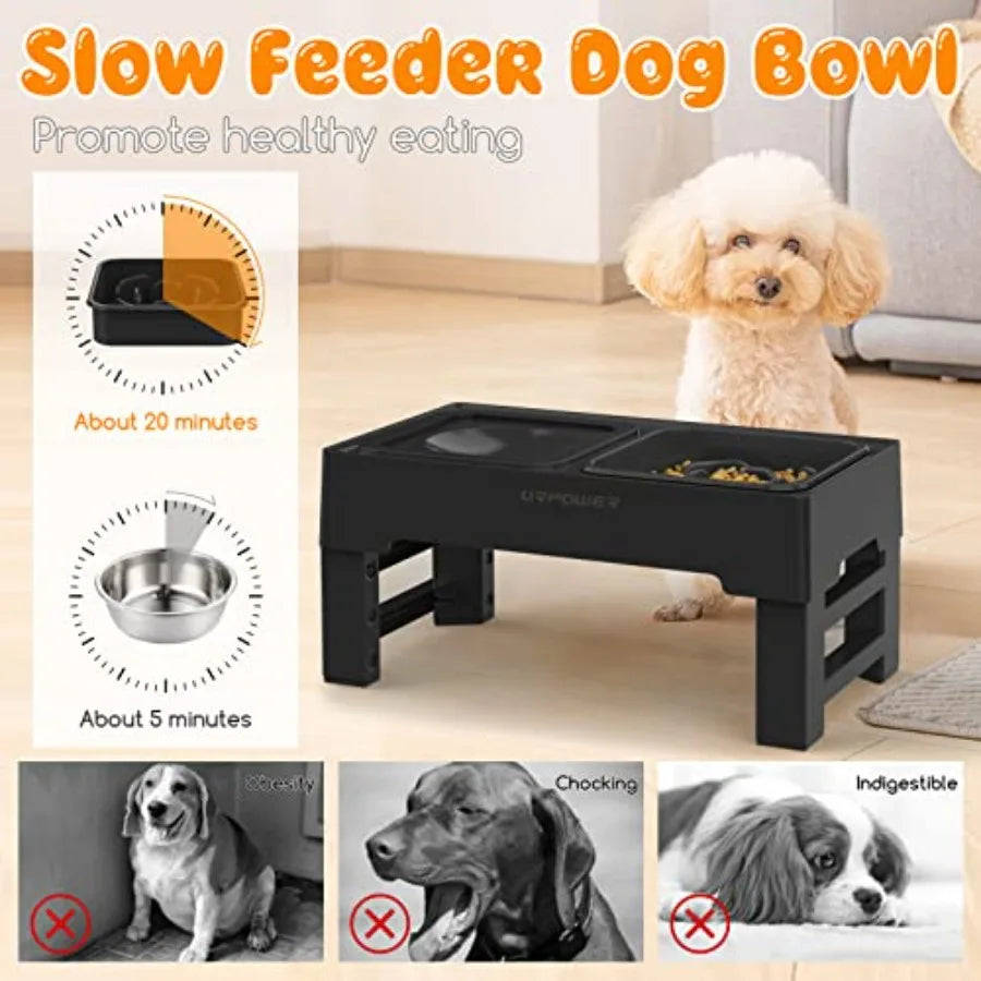 2-In-1 Elevated Dog Bowls With Stand Four Height Adjustments