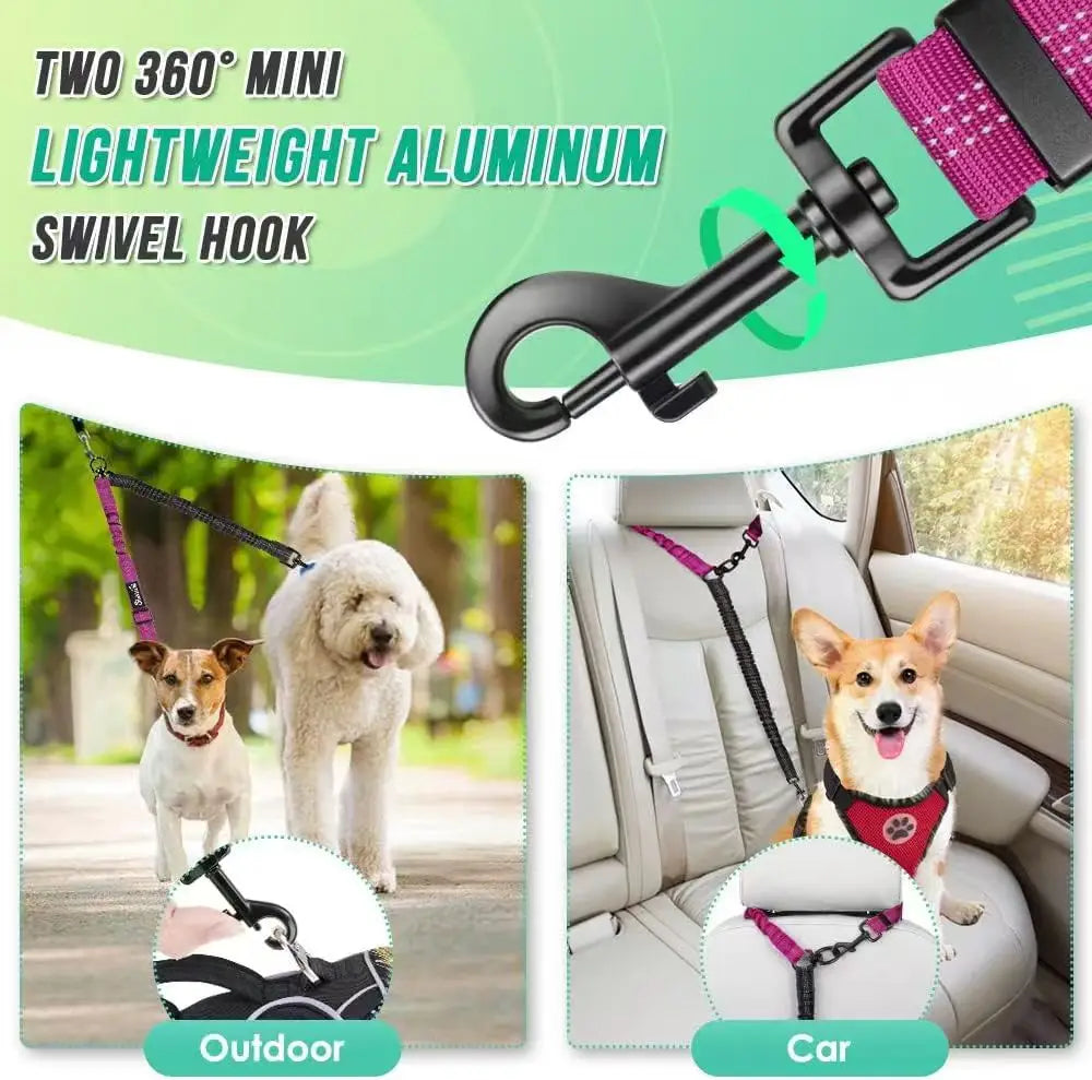 Double Dog Leash Attachment for Training