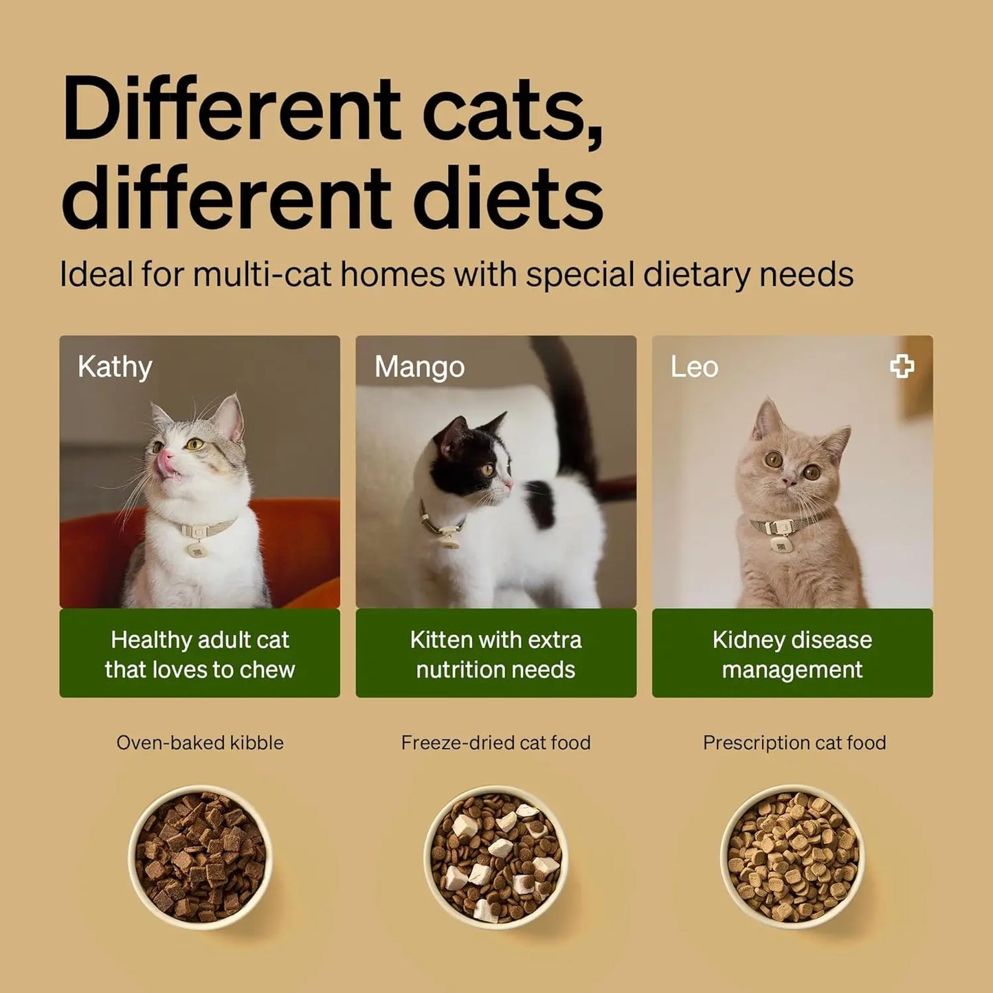 RFID Cat Feeder With Personalized Meals And Anti Theft Lid