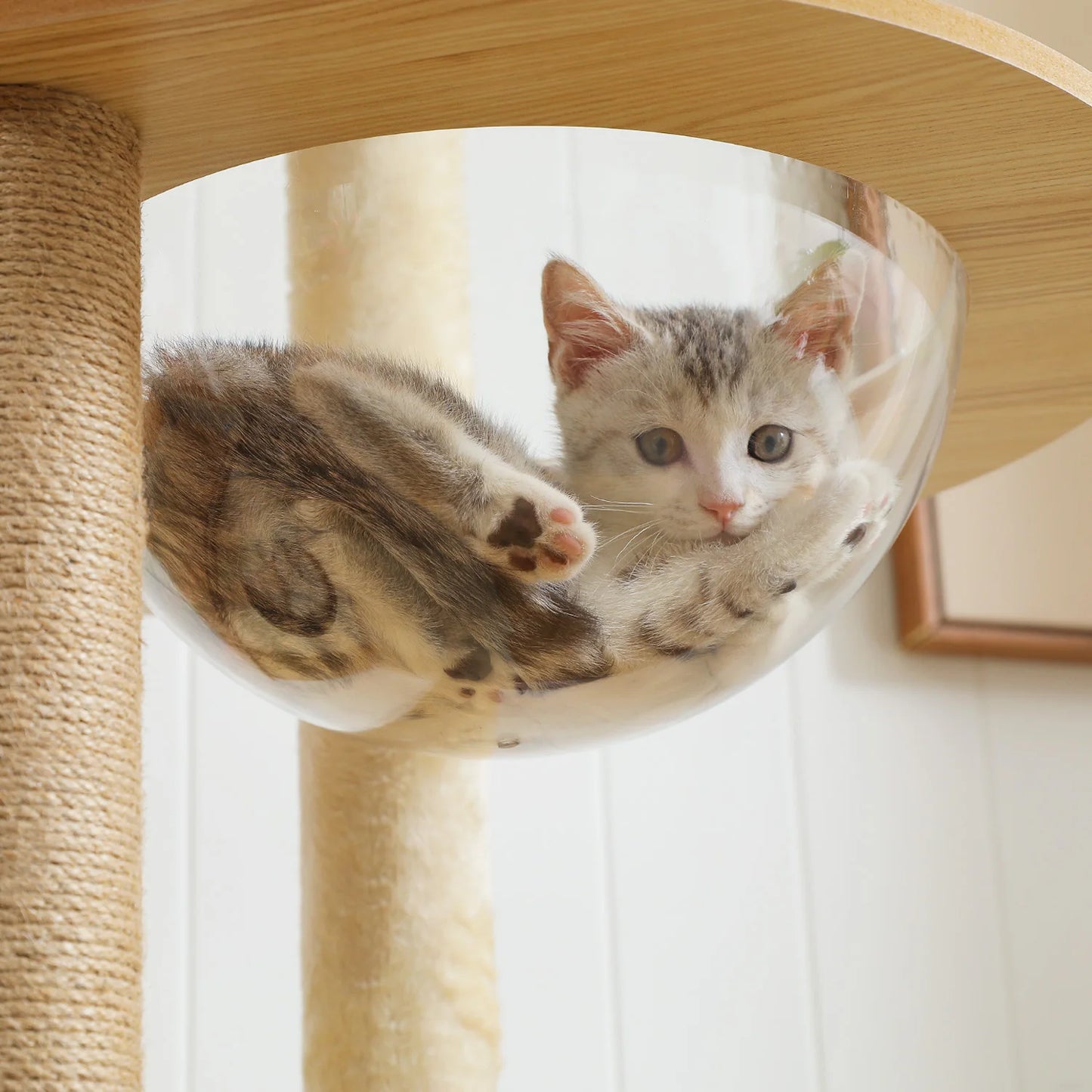 PAWZ Ro Multi-Level Cat Tree Indoor Wood Tower With Scratching Posts