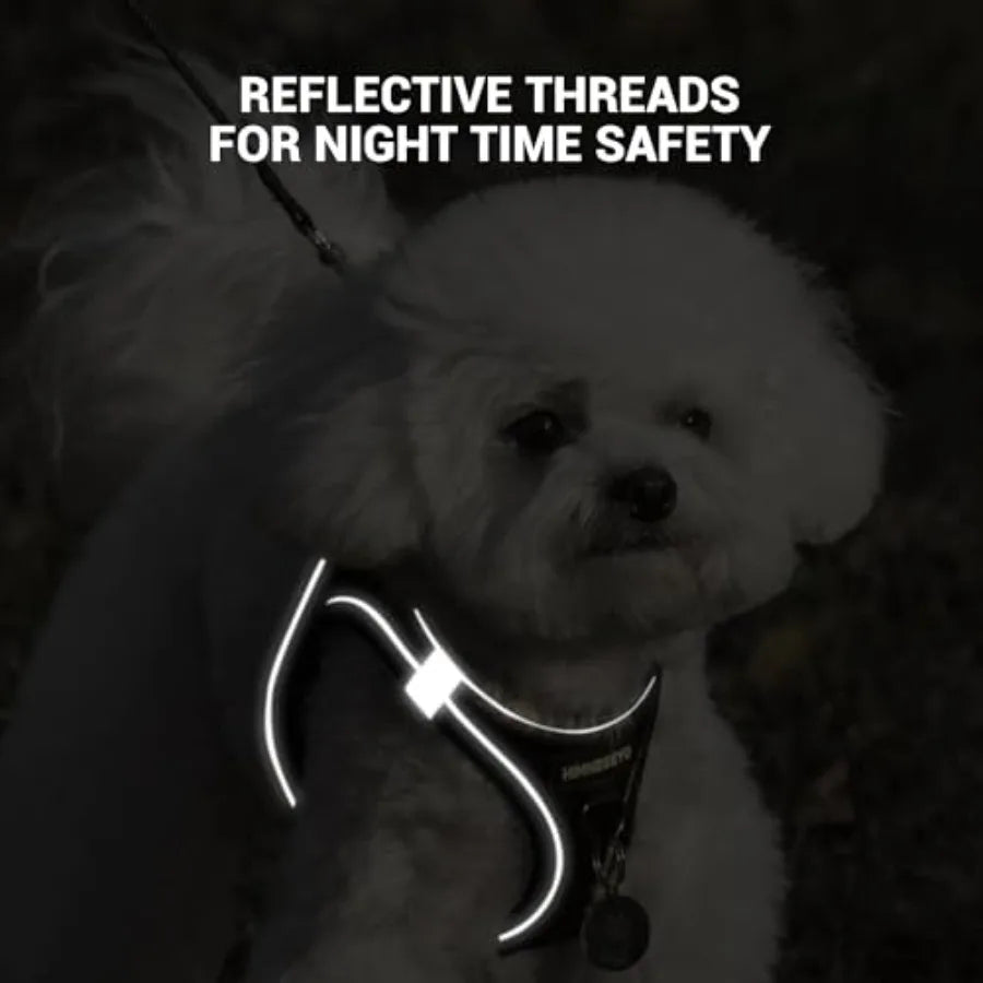 No-Pull Dog Harness And Leash Set Step-In Reflective Easy Walk
