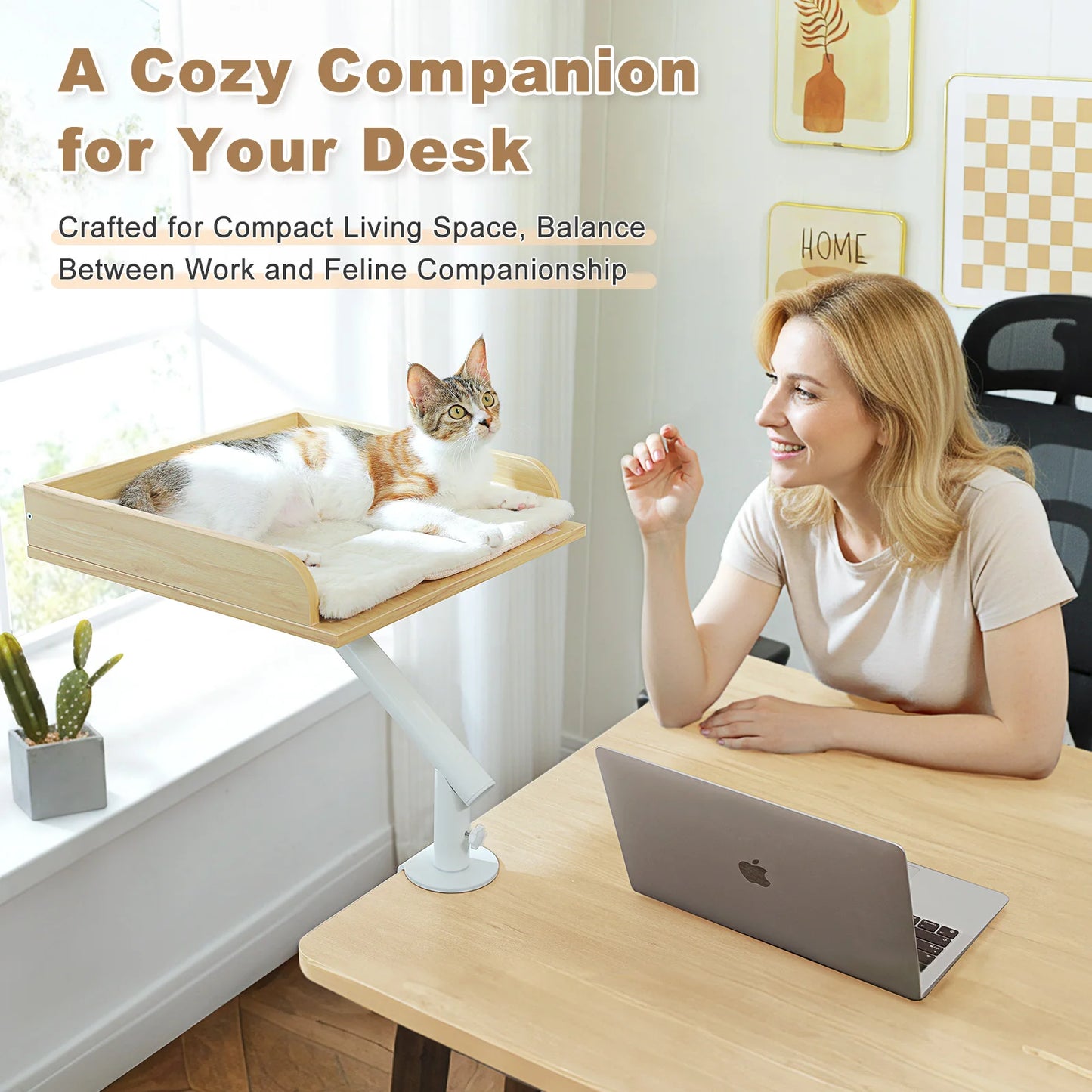 PAWZ Road Cat Desk Bed Stand Rotatable For Indoor Cats