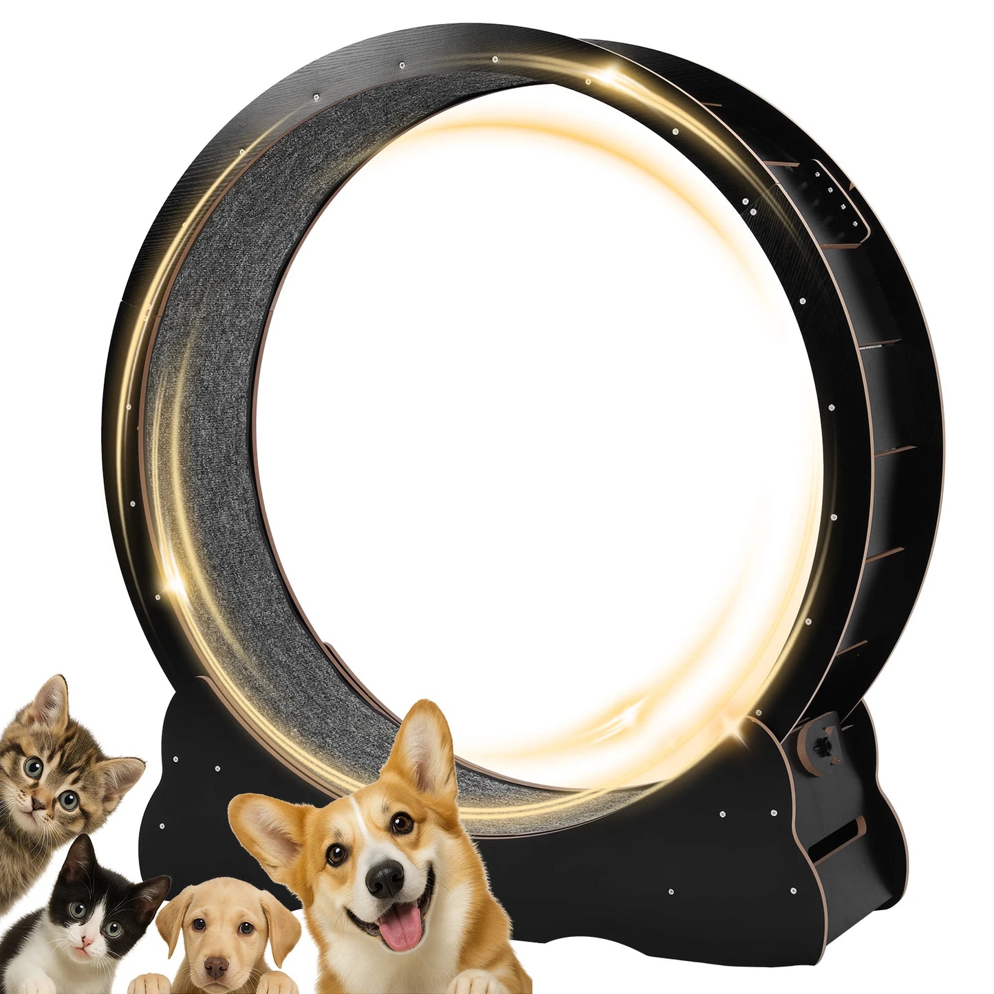 Cats Exercise Running Wheel Indoor Cat Treadmill For Fun Exercise