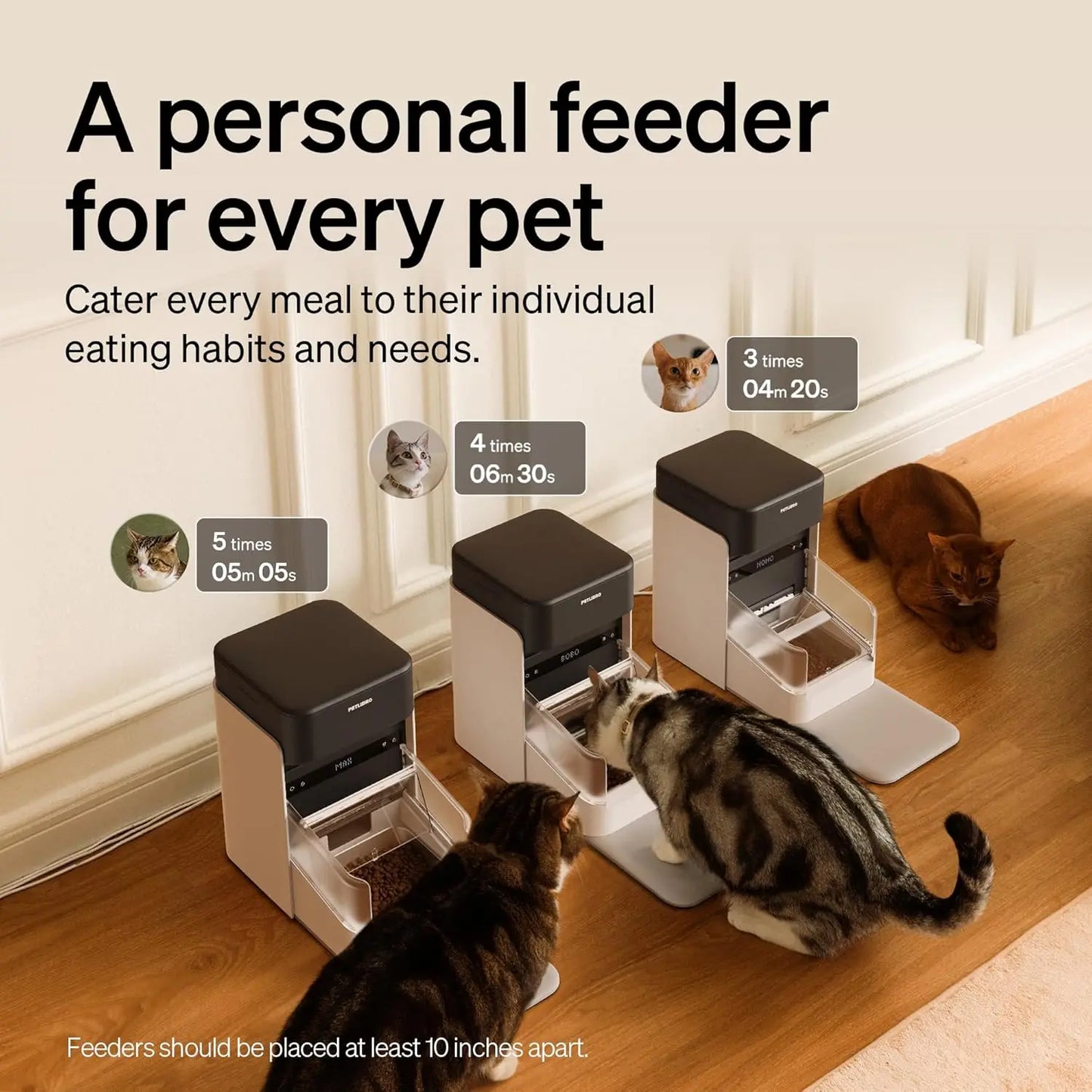 RFID Cat Feeder With Personalized Meals And Anti Theft Lid