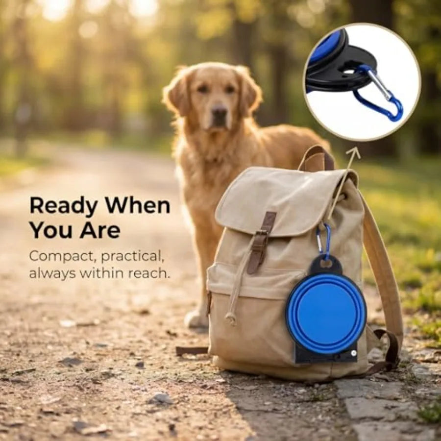 Adjustable Foldable Travel Pet Bowl For Dogs And Cats
