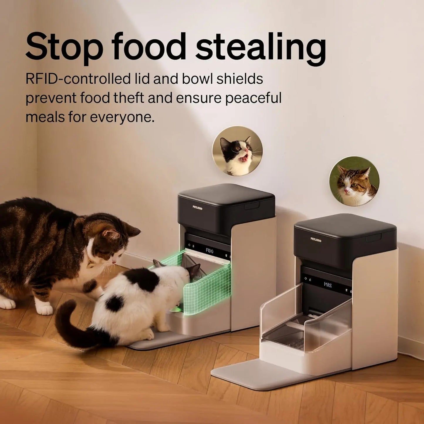 RFID Cat Feeder With Personalized Meals And Anti Theft Lid