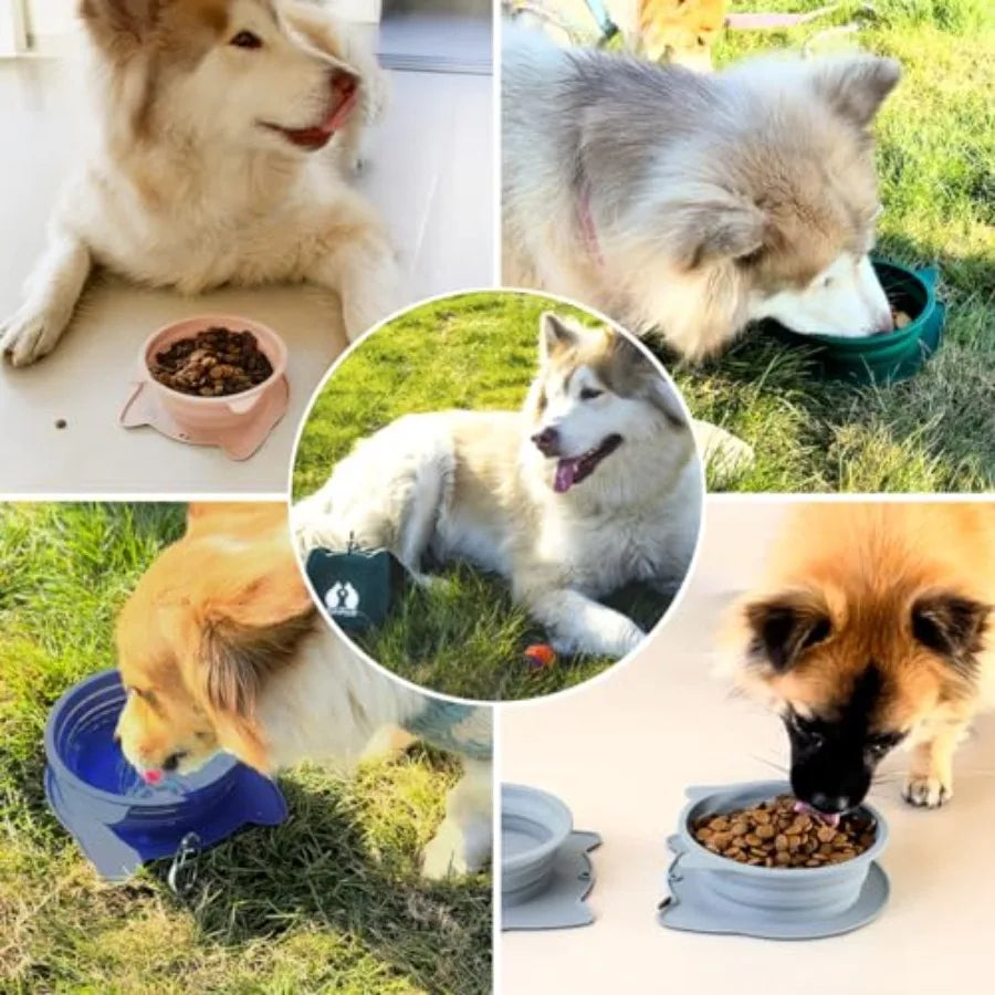 2-In-1 Collapsible Silicone Travel Bowls For Pets Portable Foldable