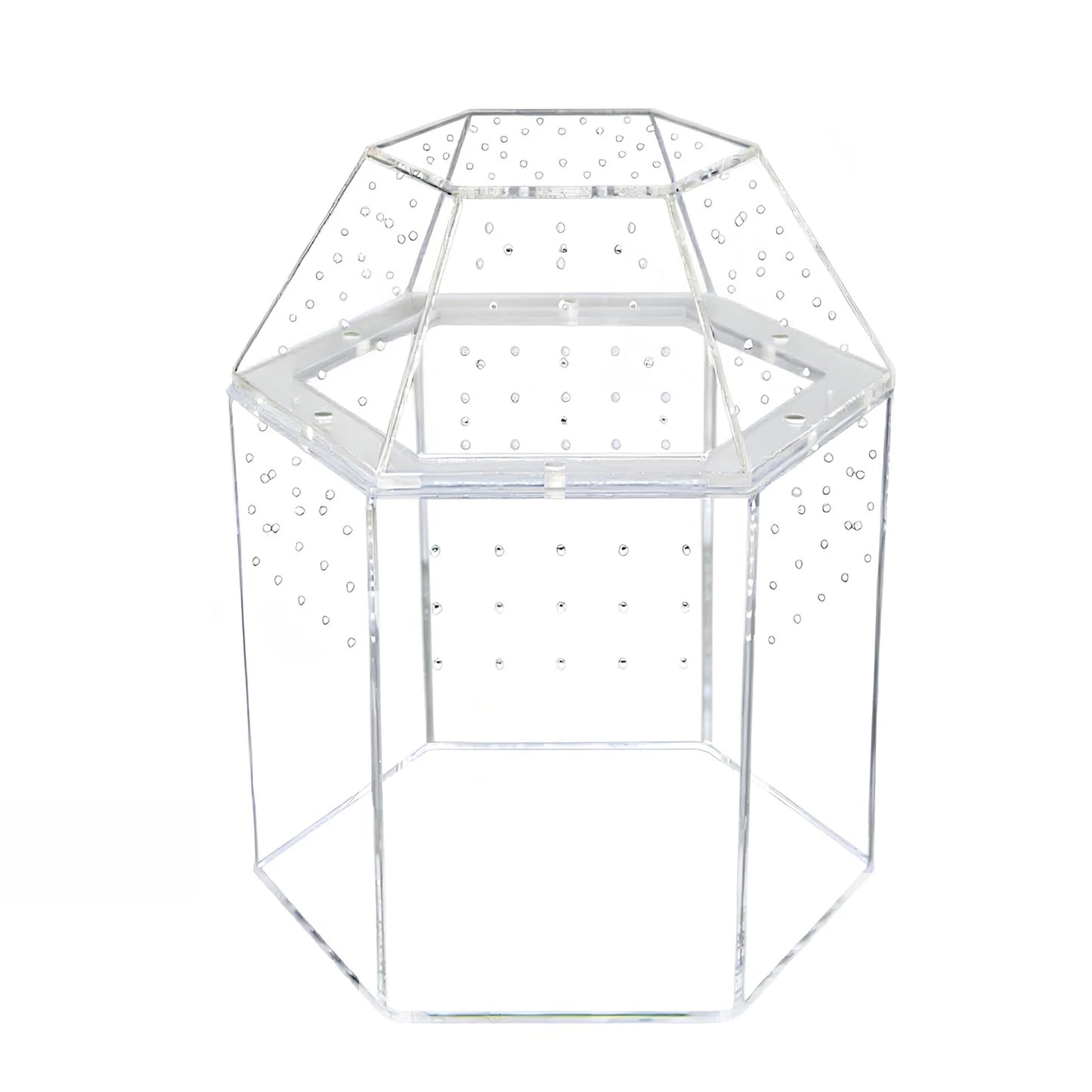 Jumping Spider Enclosure Terrarium With All Sides Ventilation