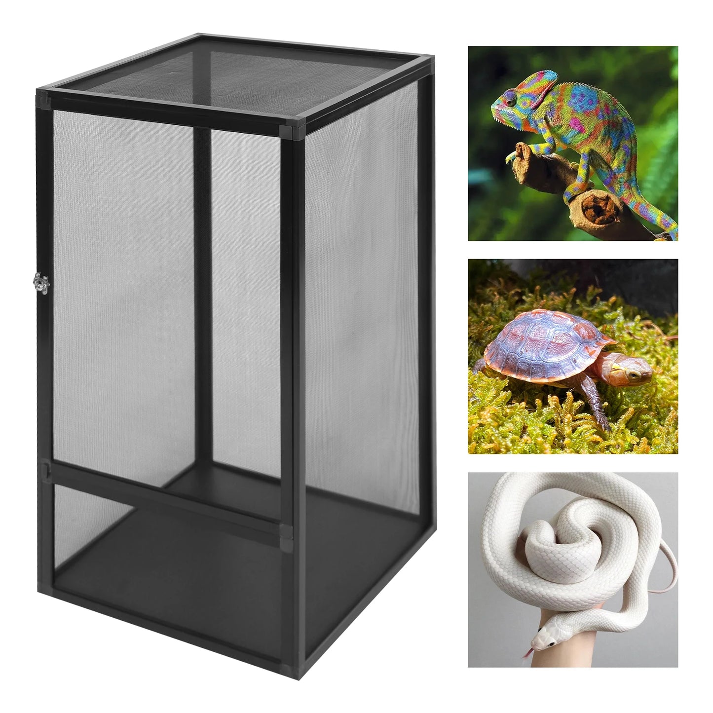 Bymaocar Micro Habitat Terrarium Enclosure Reptile Feeding Box