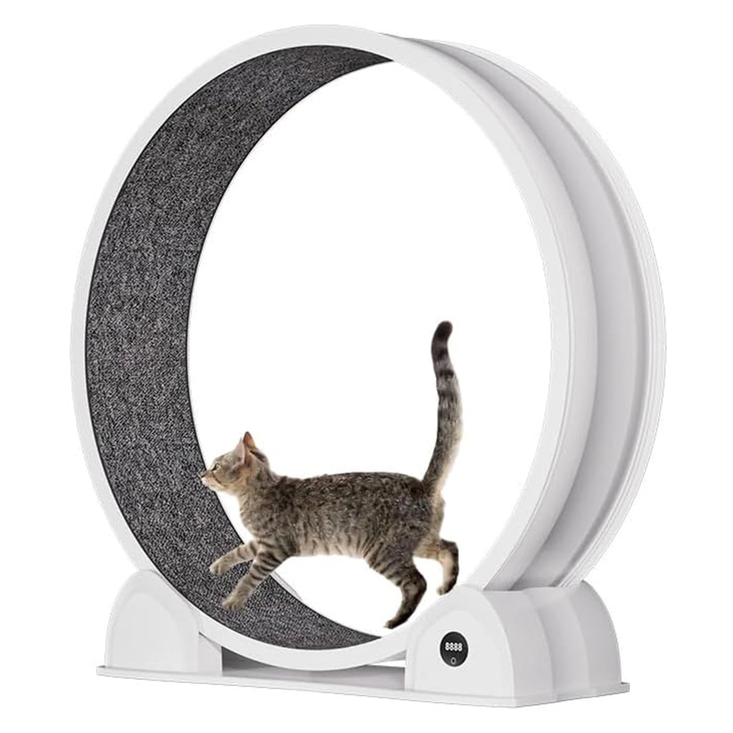 HiMISSCN Cat Exercise Wheel For Indoor Cats And Small Pets