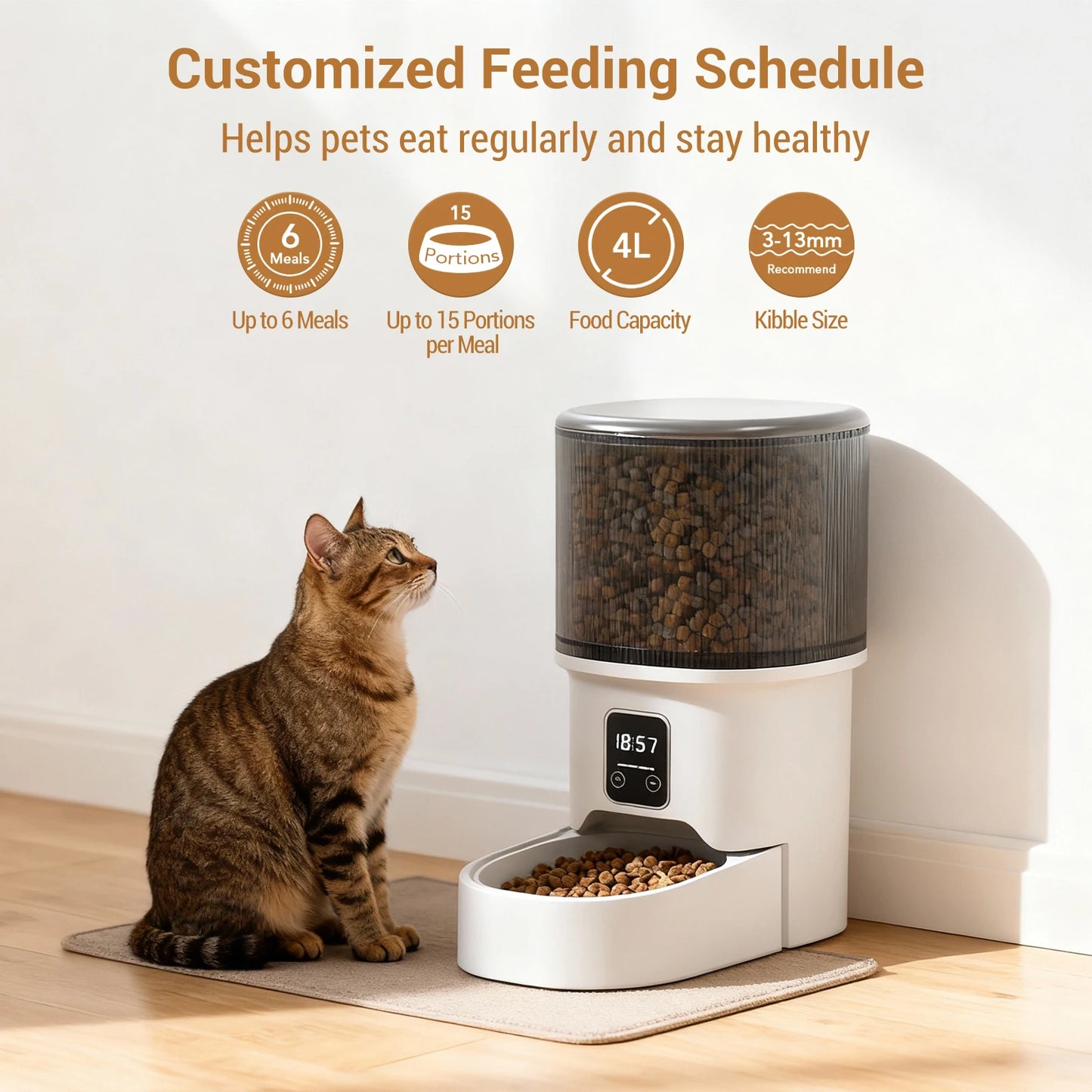 HiMISS Programmable 4L Pet Feeder For Small Dogs And Cats