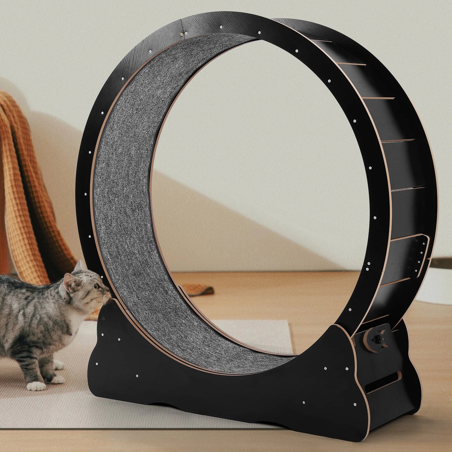 Cats Exercise Running Wheel Indoor Cat Treadmill For Fun Exercise