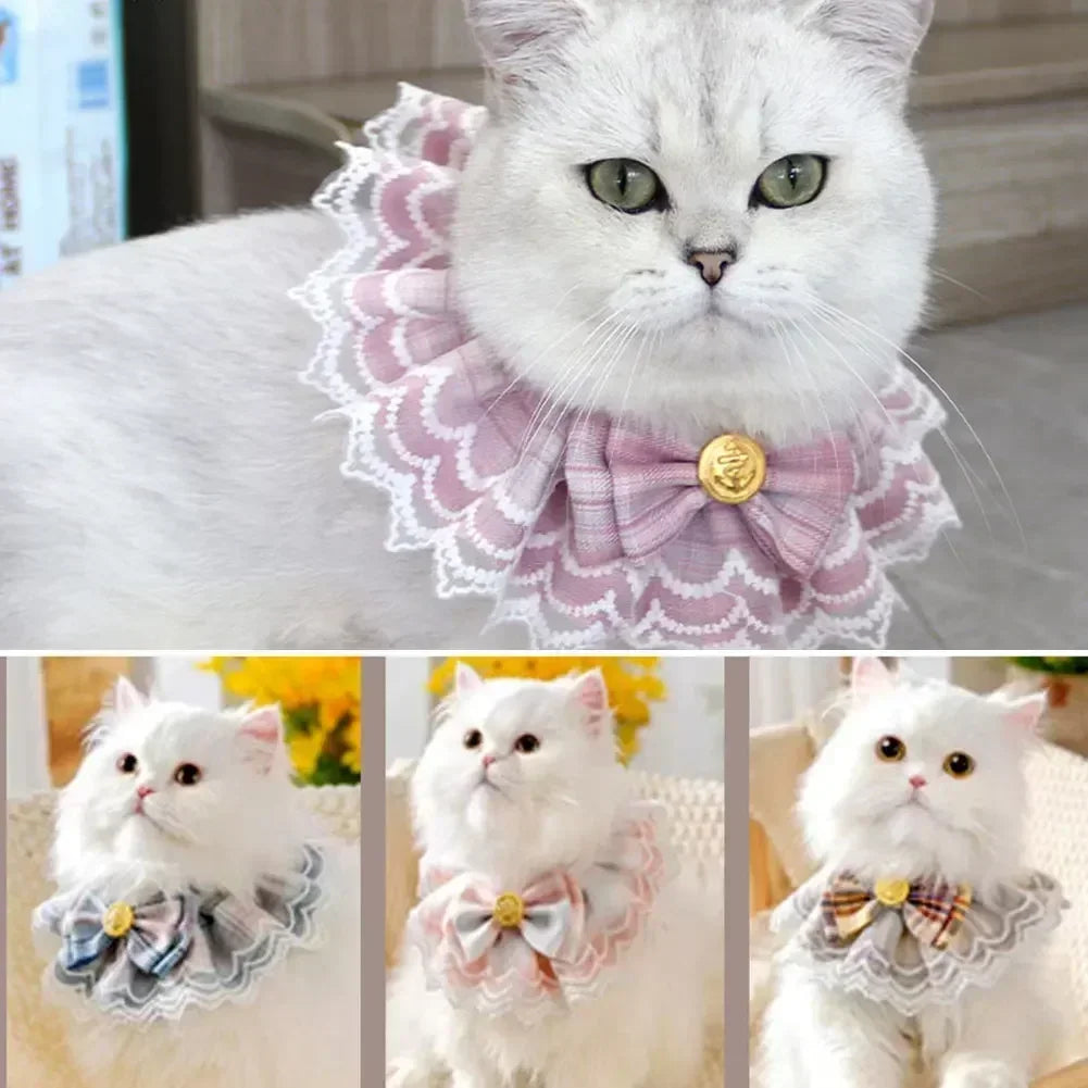Cute Lace Edged Cat and Dog Collar with Bow Tie