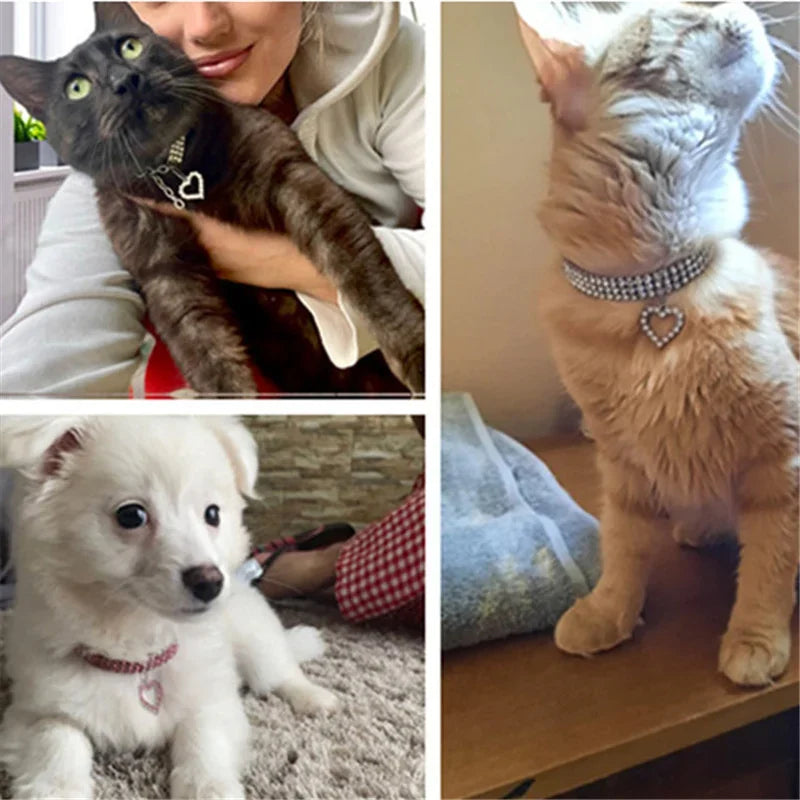 NONED Three Row Elastic Rhinestone Pet Collar