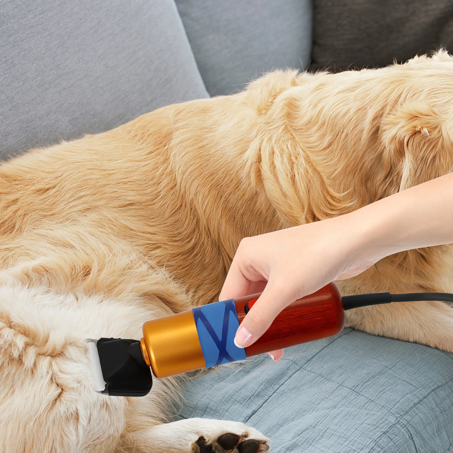 Pet Hair Clipper Low Noise Professional Electric Variable Speed Trimmer