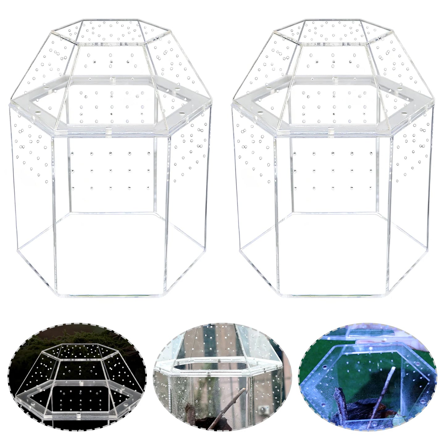Jumping Spider Enclosure Terrarium With All Sides Ventilation