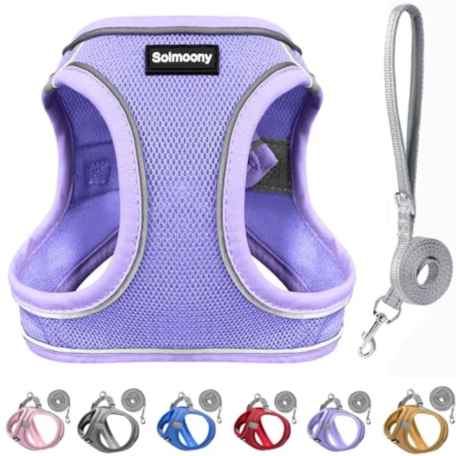 Sparkly Dog Harness And Leash Set Reflective Puppy Vest