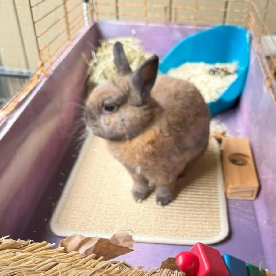 Sisal Bunny Scratch Pad For Rabbits Natural Grass Mat