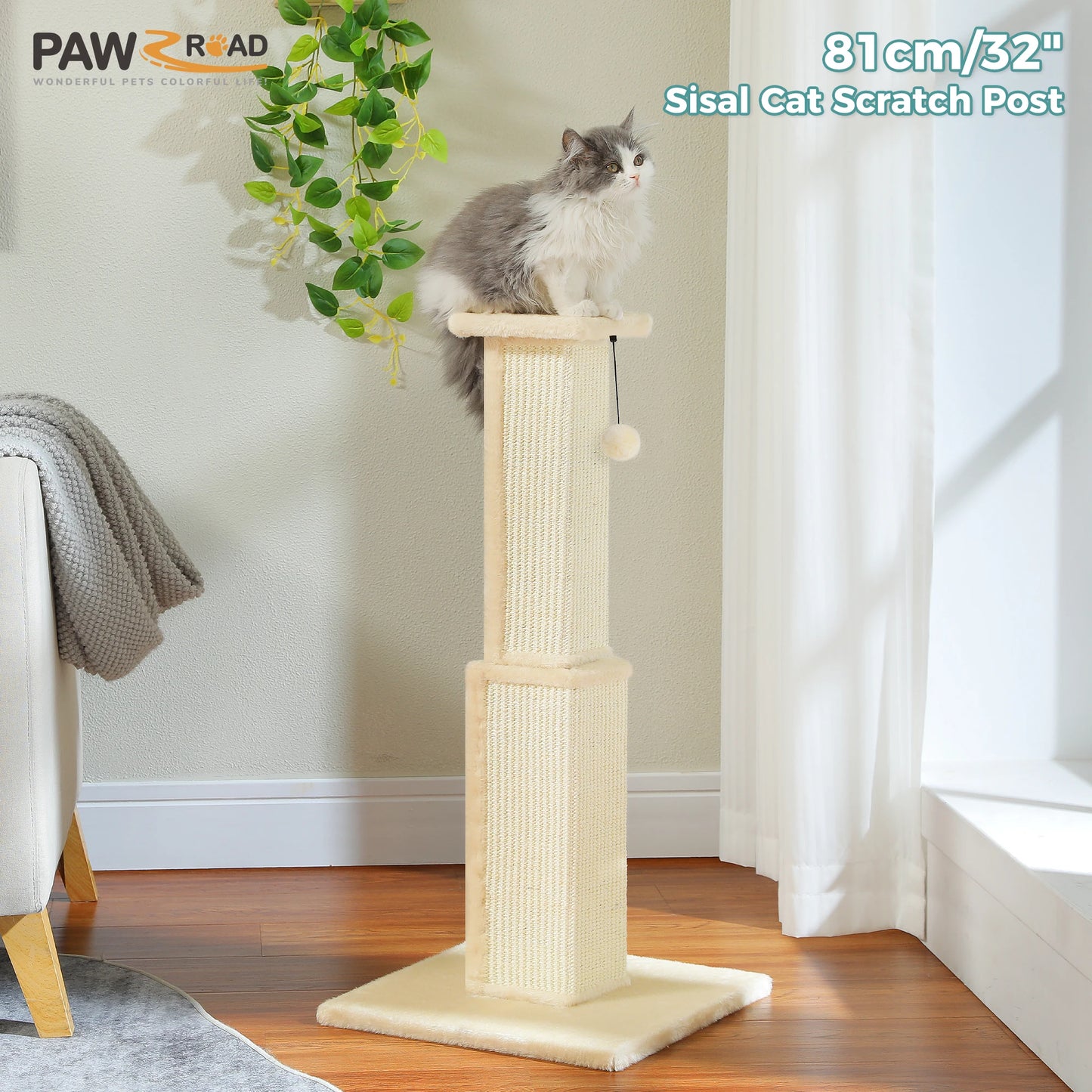 PAWZ Road Cat Scratching Post Indoor Ultimate Scratch Toy