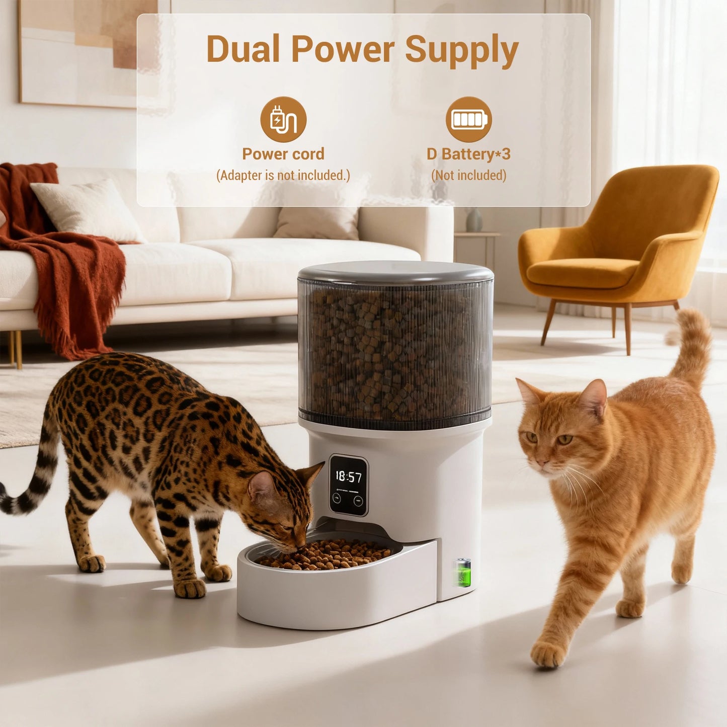 HiMISS Programmable 4L Pet Feeder For Small Dogs And Cats