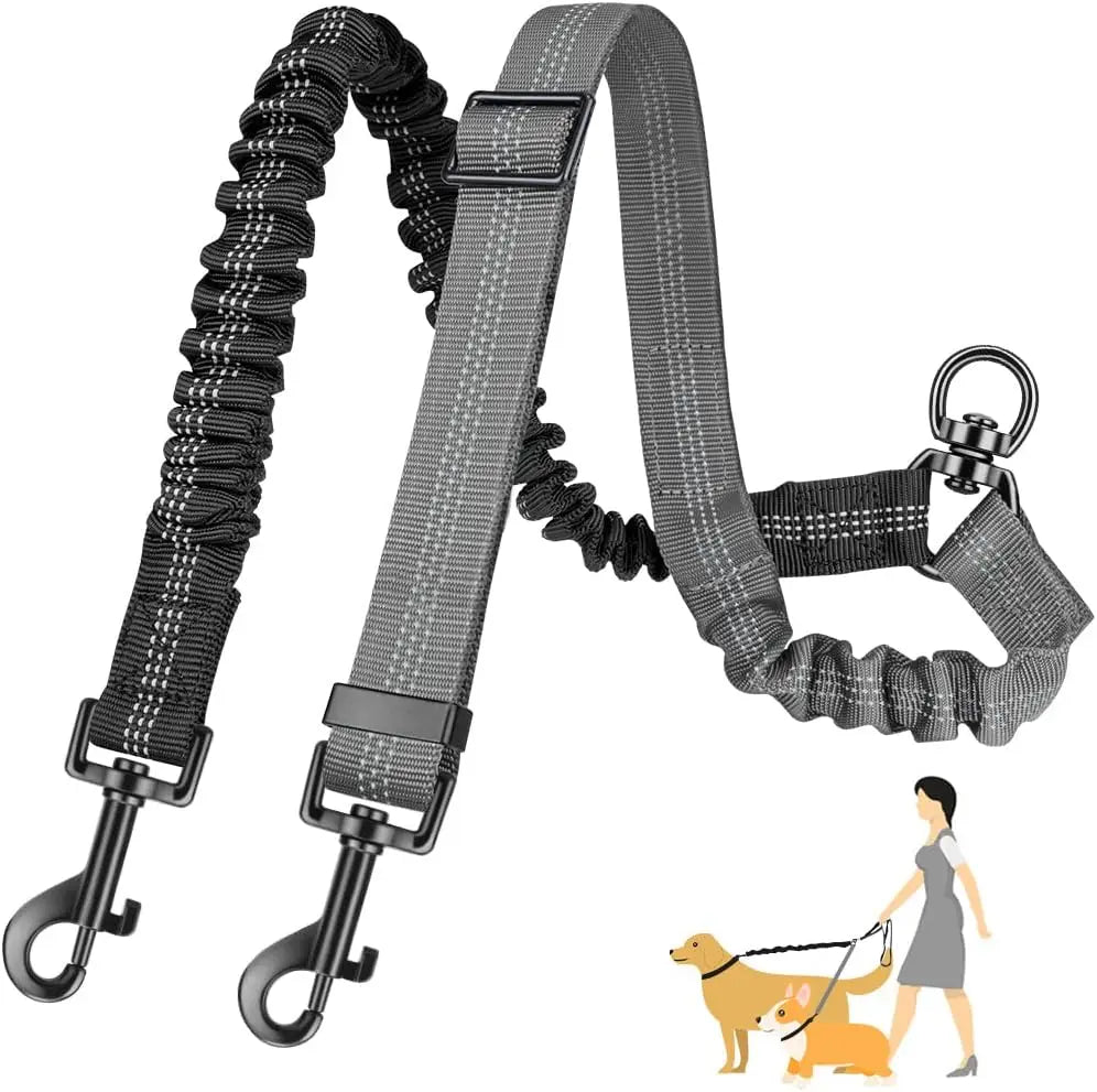 Double Dog Leash Attachment for Training