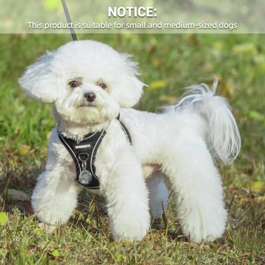 No-Pull Dog Harness And Leash Set Step-In Reflective Easy Walk