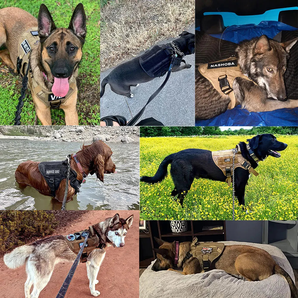 PETRAVEL Military Large Dog Harness Vest Set for Training Malinois