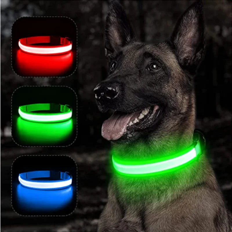 NONECN Usb Charging Glowing Dog Collar With Pendant Led Light